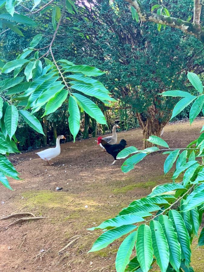 Casa De Campo Lazer Completo Paraiso De Reservas Naturais Em Sp Ibiúna Екстериор снимка